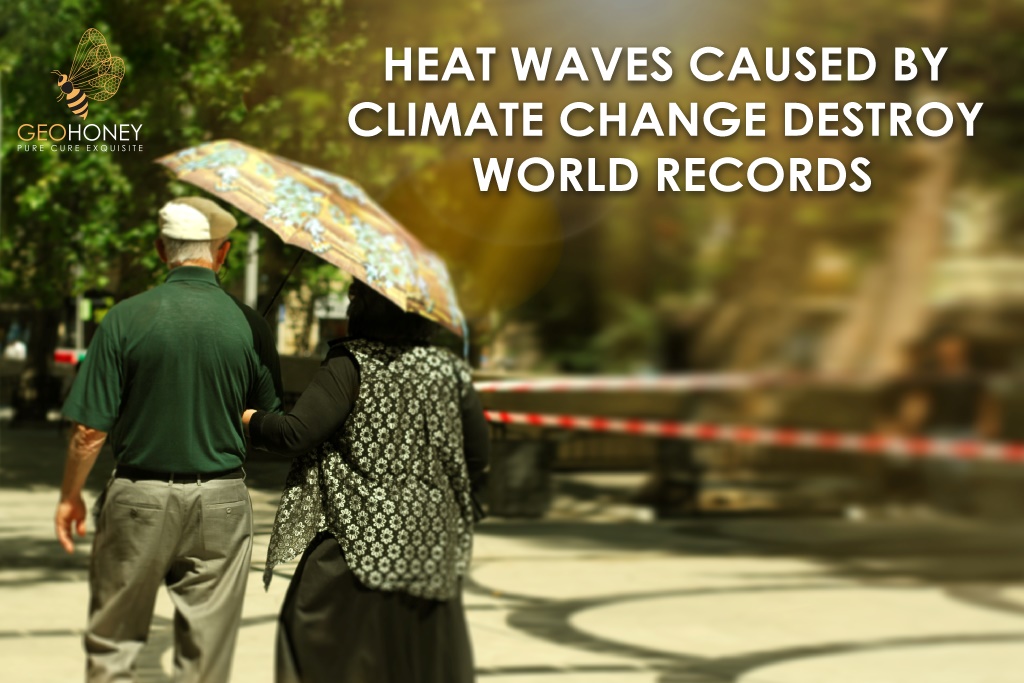 The image is related to a  record-breaking heat wave in the western Mediterranean that was influenced by climate change.